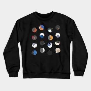 Round Birds! Crewneck Sweatshirt